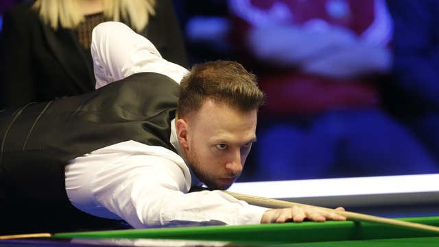 精力和不懈 精力和不懈